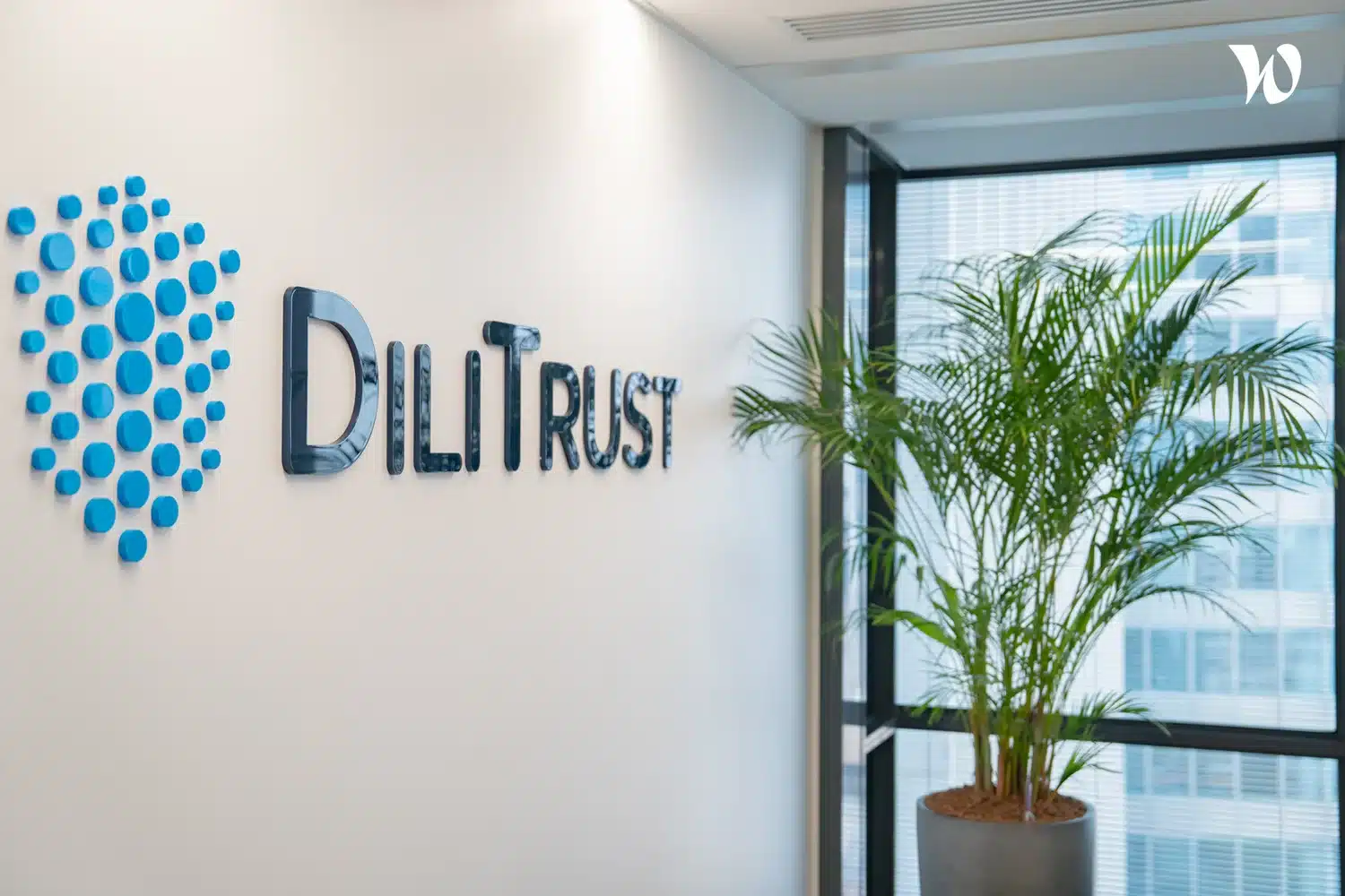 Boost your legal impact with Dilitrust