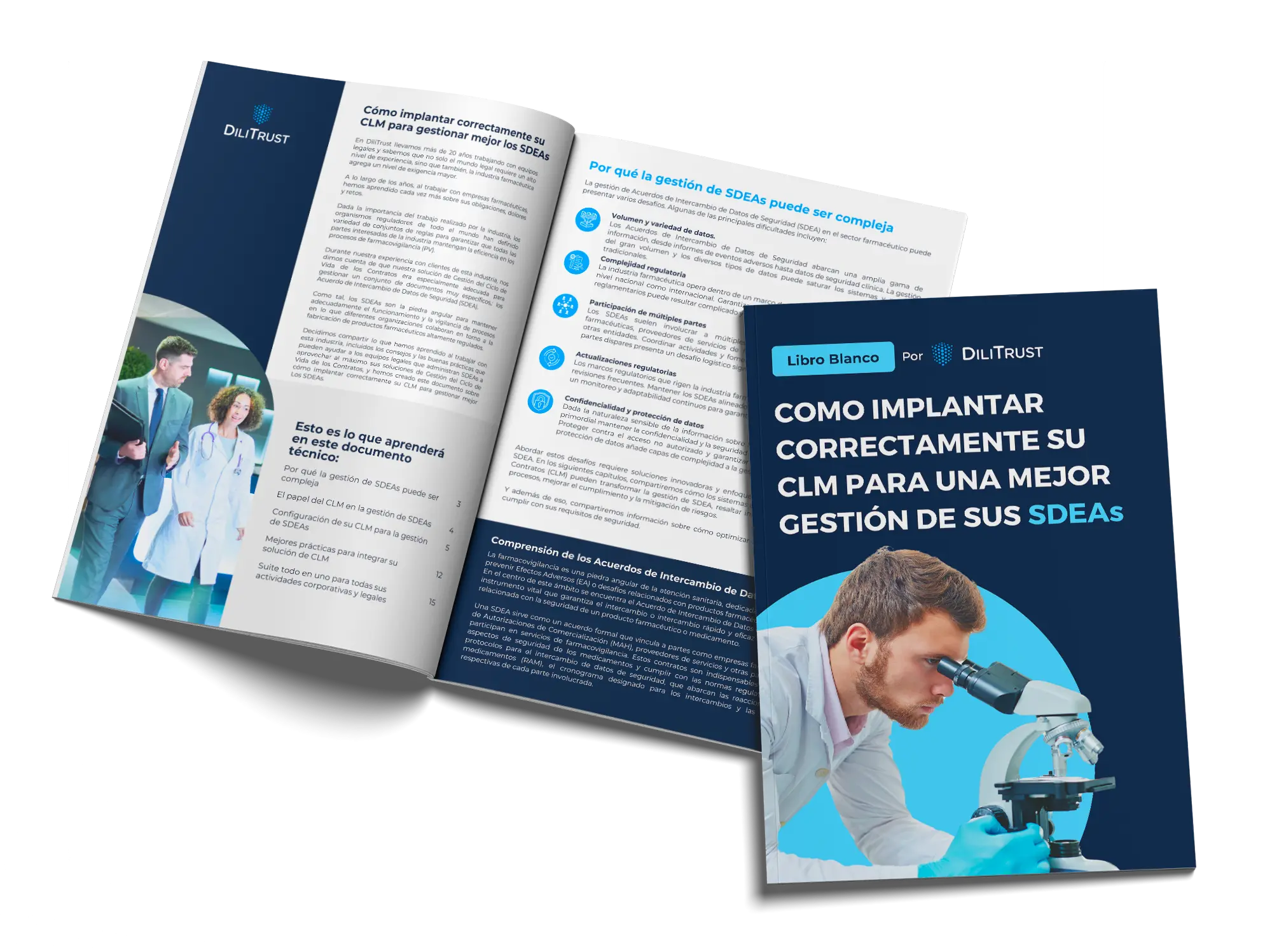 como implantar correctamente su clm para una mejor gestion de sus sdea